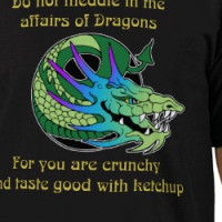 Do Not Meddle in the Affairs of Dragons T-shirt