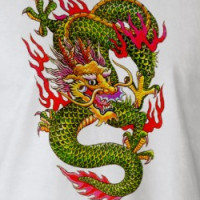 Dragon 3 T-Shirt T-shirt