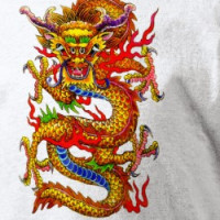 Dragon T-Shirt T-shirt