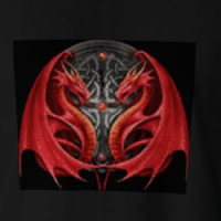 dual red dragons T-shirt