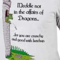 Meddle Not In The Affairs of Dragons... T-shirt