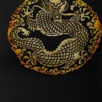 Roar of the Dragon 2 T-shirt